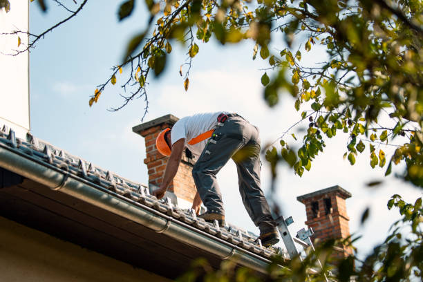 Best Roof Repair Services  in Virginia, IL