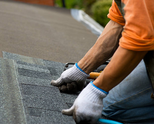 Best Flat Roof Repair Services  in Virginia, IL